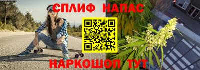 гидра Дубна