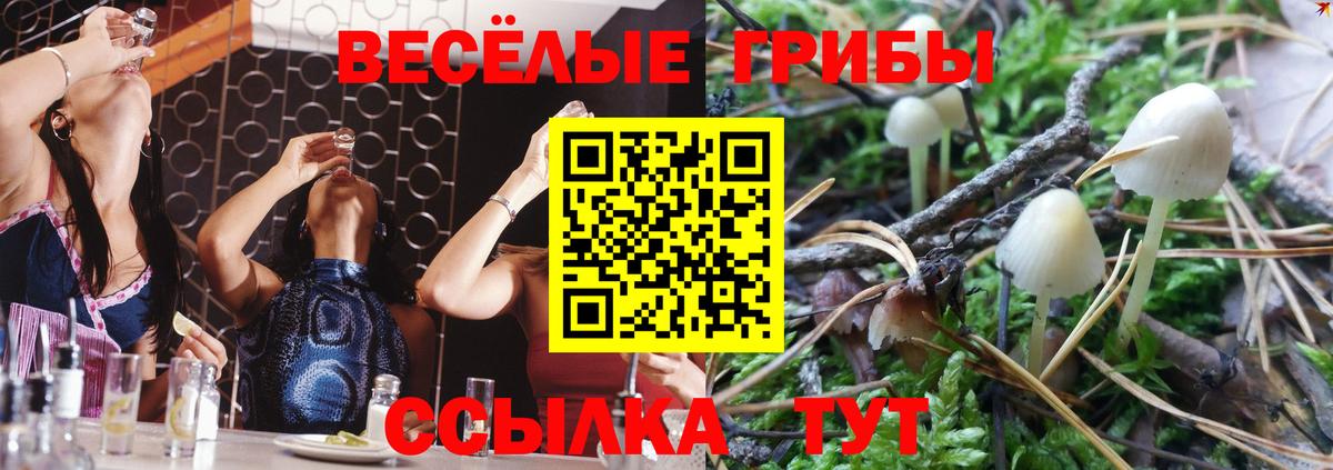 Малоярославец  Псилоцибиновые грибы ЛСД  Вход с VPN 